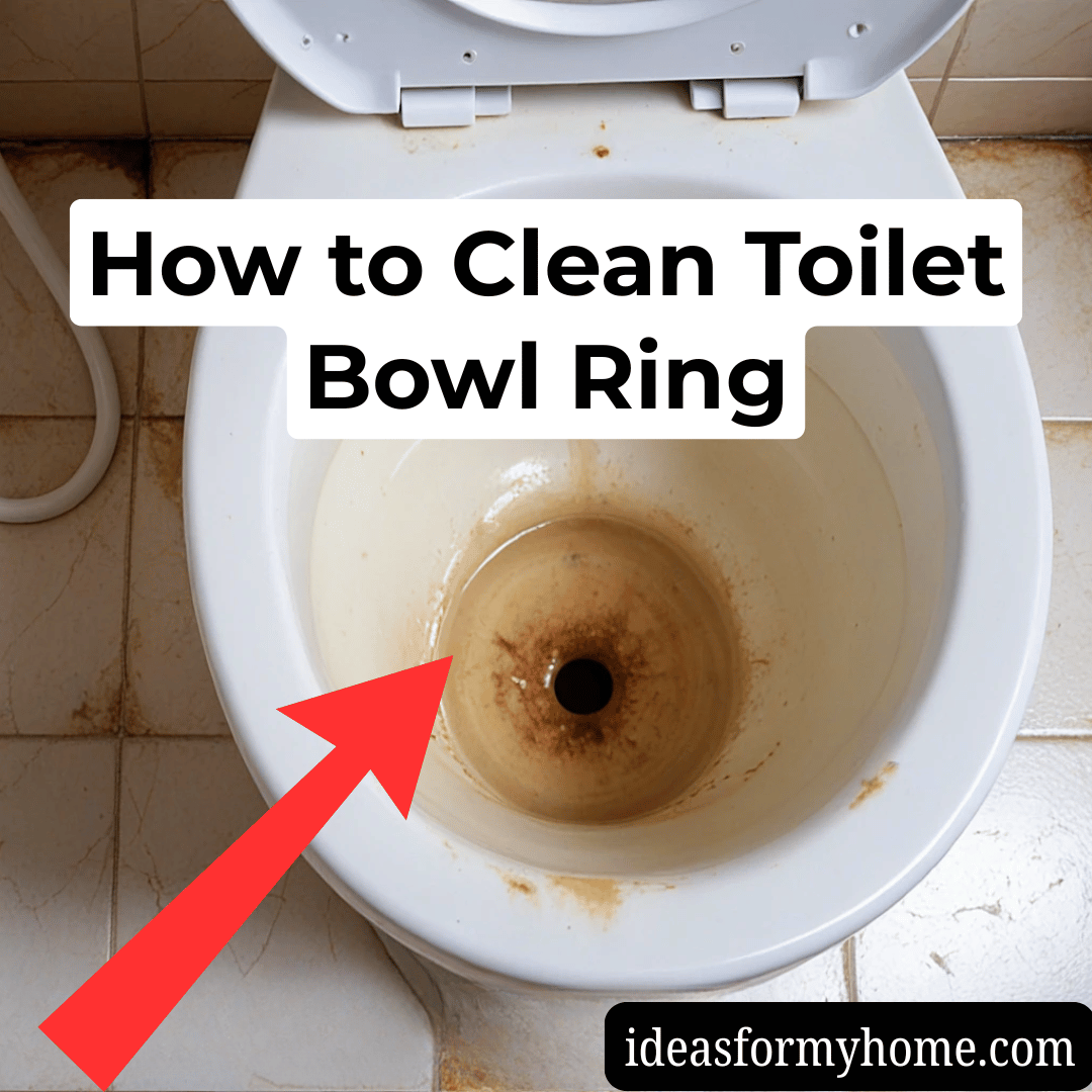 How to Clean Toilet Bowl Ring