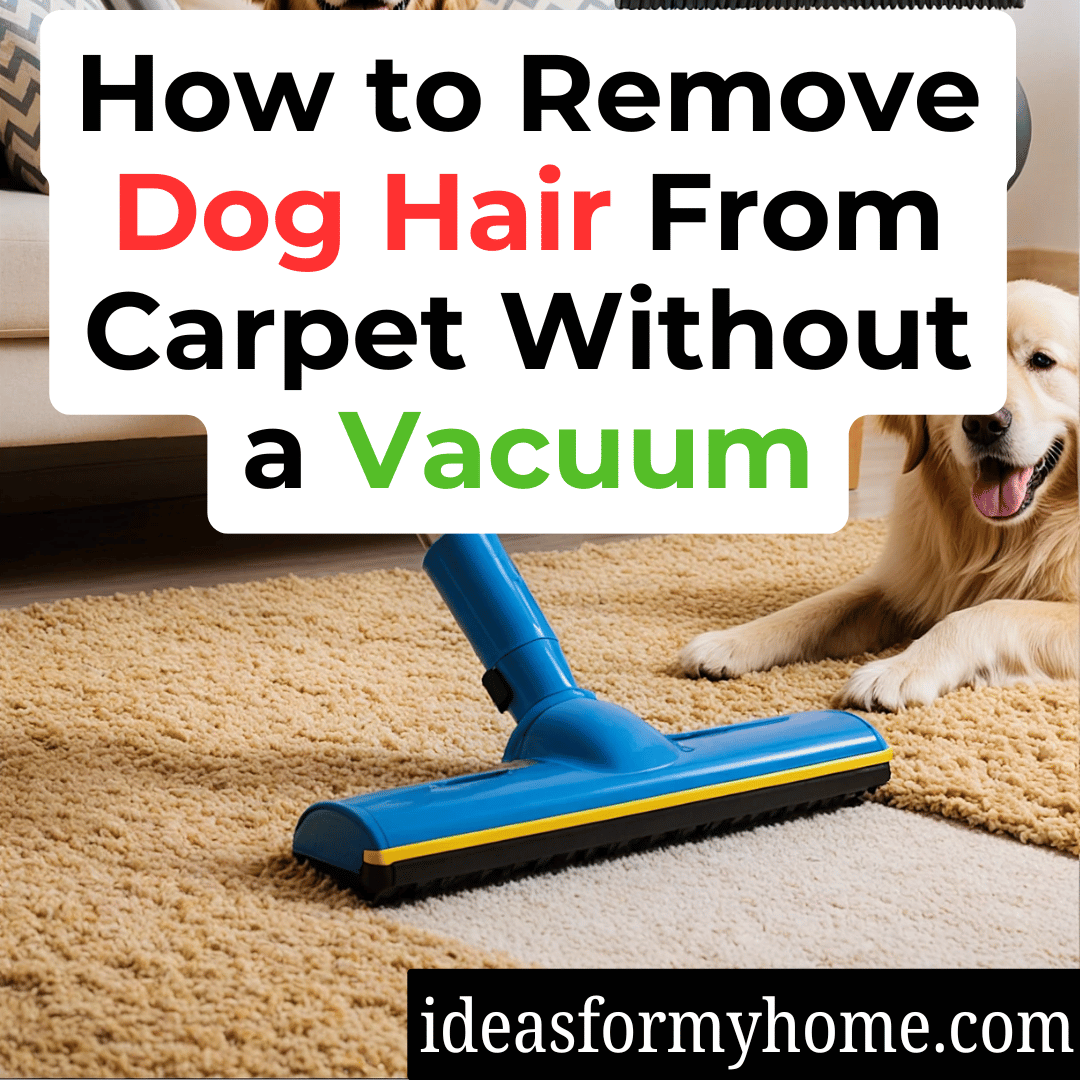 How to Remove Dog Hair From Carpet Without a Vacuum