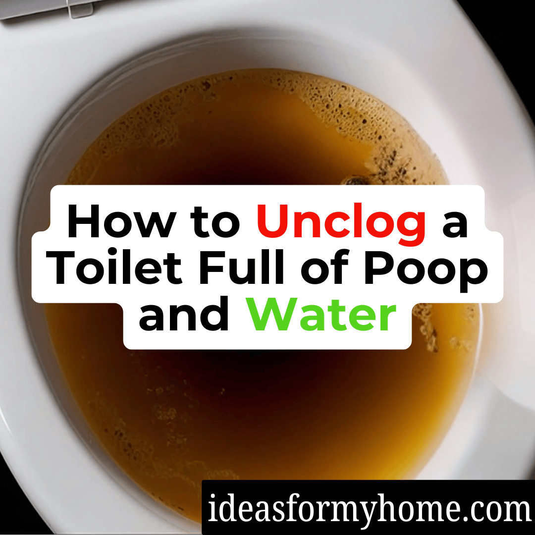 How to Unclog a Toilet Full of Poop and Water